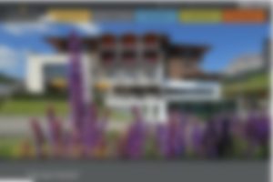 Homepages